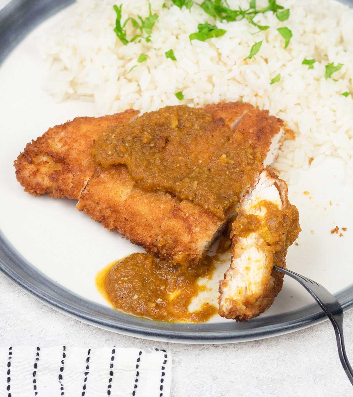 Chicken Katsu Curry and white rice in a serving plate