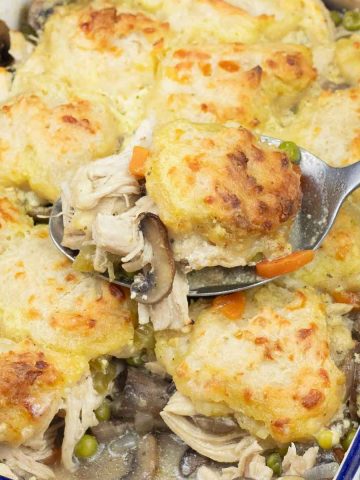 chicken cobbler casserole.