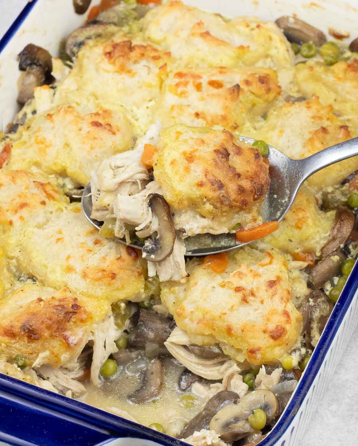 chicken cobbler.