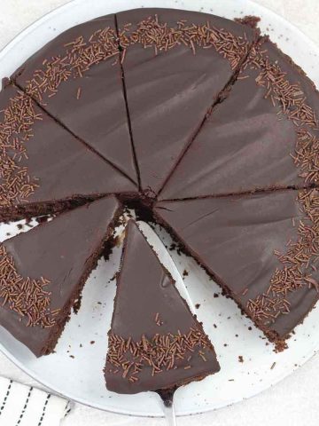 Single layer chocolate cake topped with smooth chocolate ganache and sprinkles.